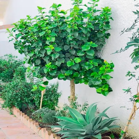 Vivienda Con Encanto Goya Nº4 Ferienhaus